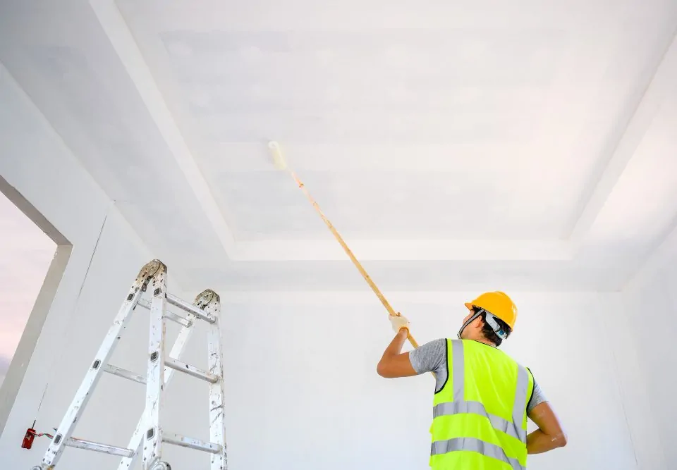 Ceiling Paints Turkey
