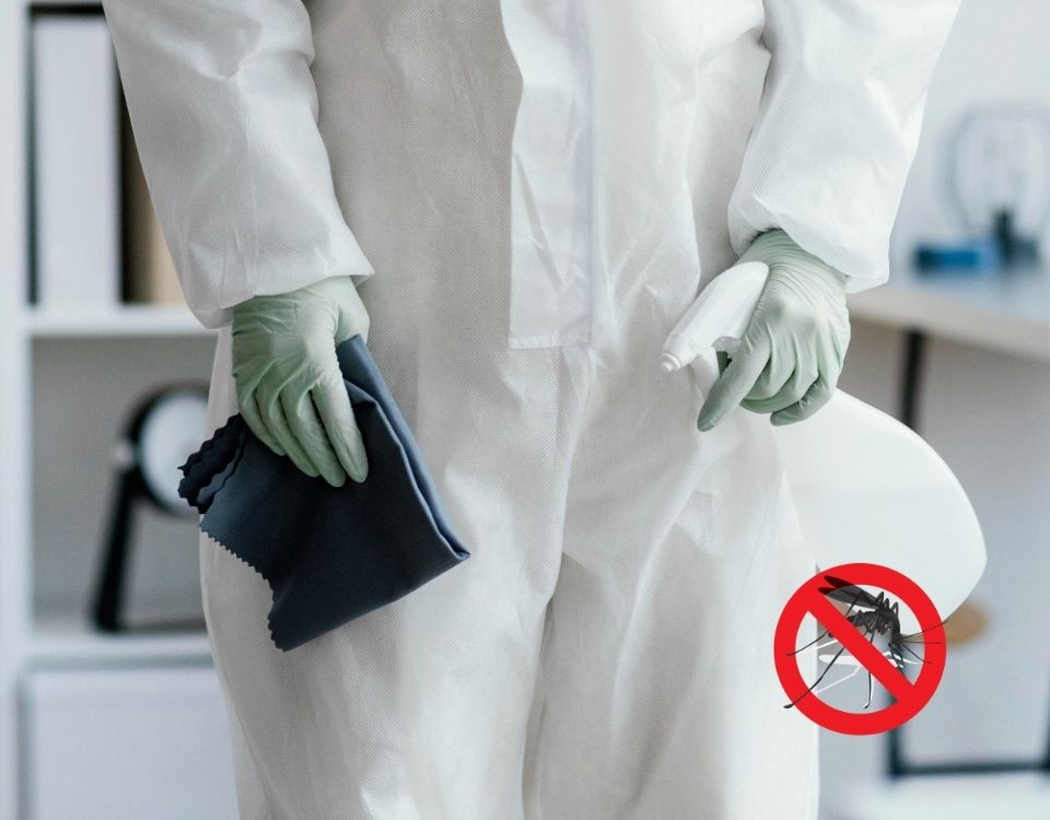 Anti Mosquito Paint (960 × 750 piksel)